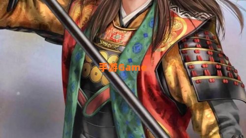信长之野望cn9.5s