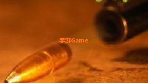 愤怒的子弹