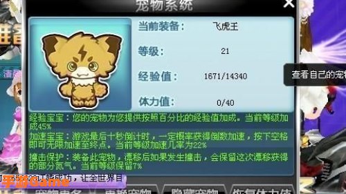 qq飞车什么宠物最好