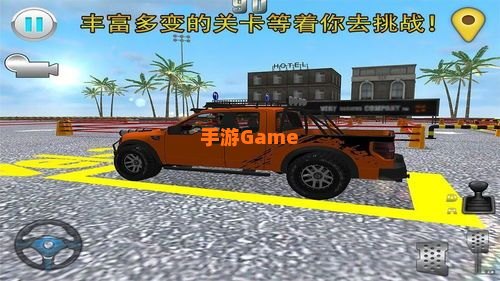 停车大师